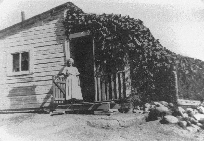 Image description