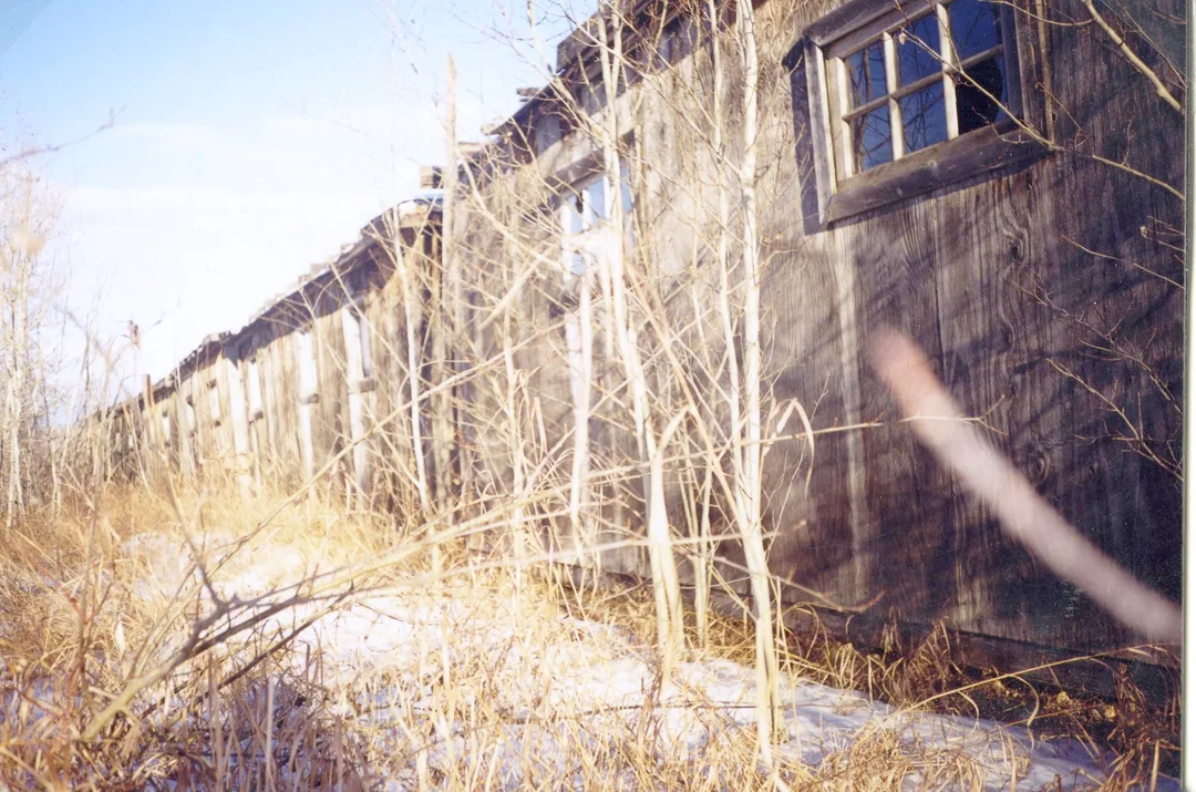 Colour photograph showing a line of wood-panels shacks with six-paned windows set high up on the walls.